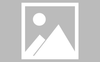通辽最佳网站建设（网站建设哪个平台最好）